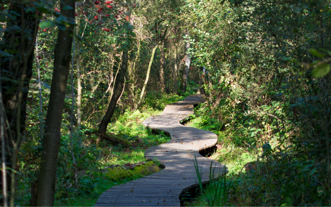 Healing Isn’t Linear (and you’re not failing if you still struggle sometimes)